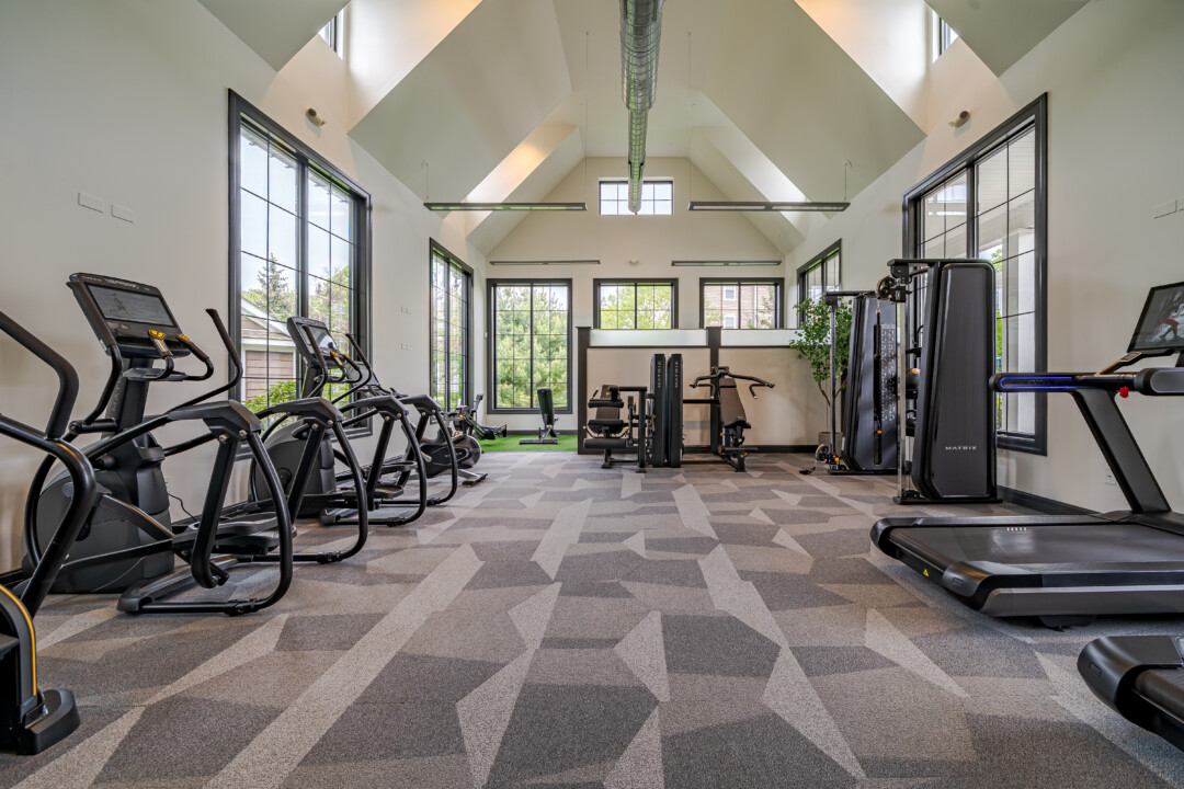 Fitness center with patterned gray flooring, white walls, a vaulted white ceiling, large windows, cardio machines, and strength equipment.