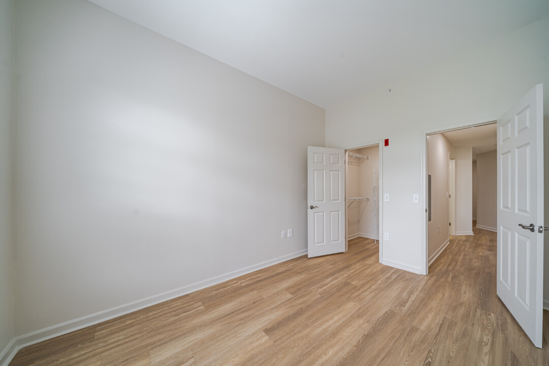 Bedroom with wood-look flooring, light gray walls, a white ceiling, and an open walk-in closet.