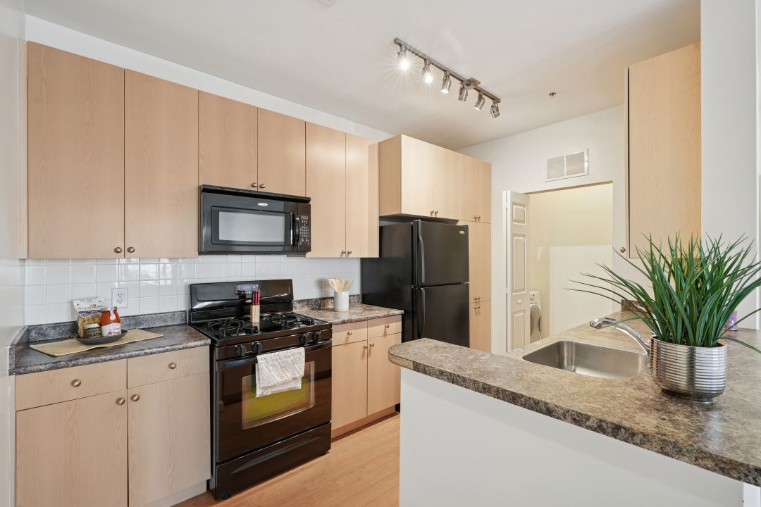 modern kitchen with black appliances and wood floors