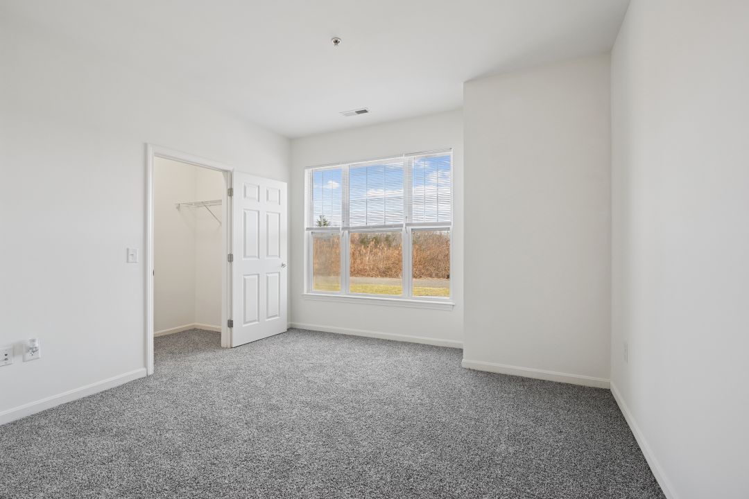 white bedroom with grey carpets and large picture window