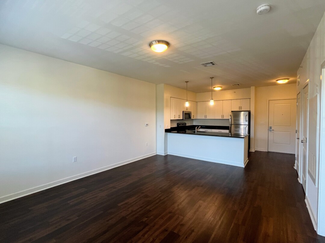 An open living area with dark wood flooring and white walls, connected to a kitchen with white cabinets, dark countertops, and stainless steel appliances, with ceiling-mounted and hanging light fixtures, and a doorway and entry door visible in the background.