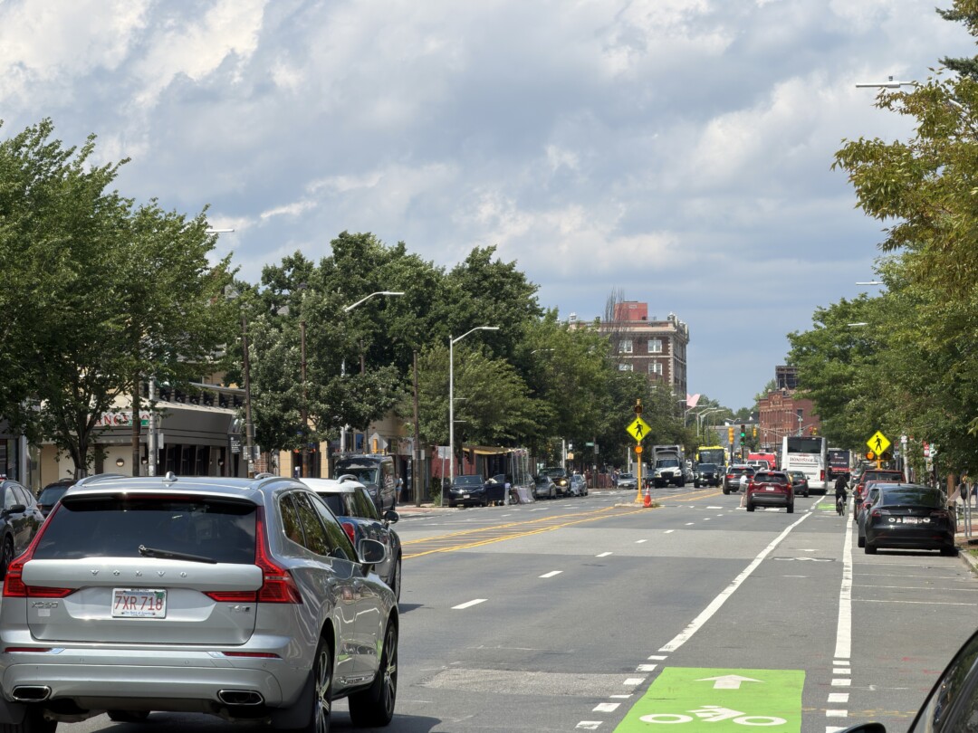 Wide paved roadway with white lane markings and a bright green bike lane, lined with mature green trees, parked vehicles, and low-rise buildings beneath a partly cloudy sky.