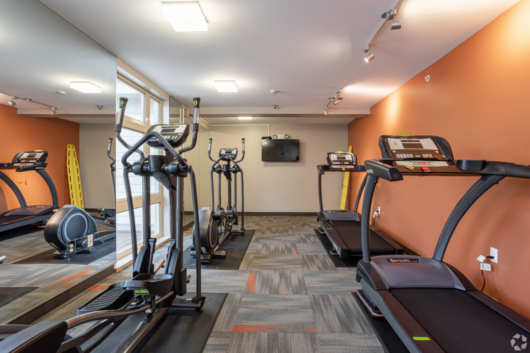 Fitness room with carpet flooring, painted walls, a finished ceiling, and cardio exercise equipment.