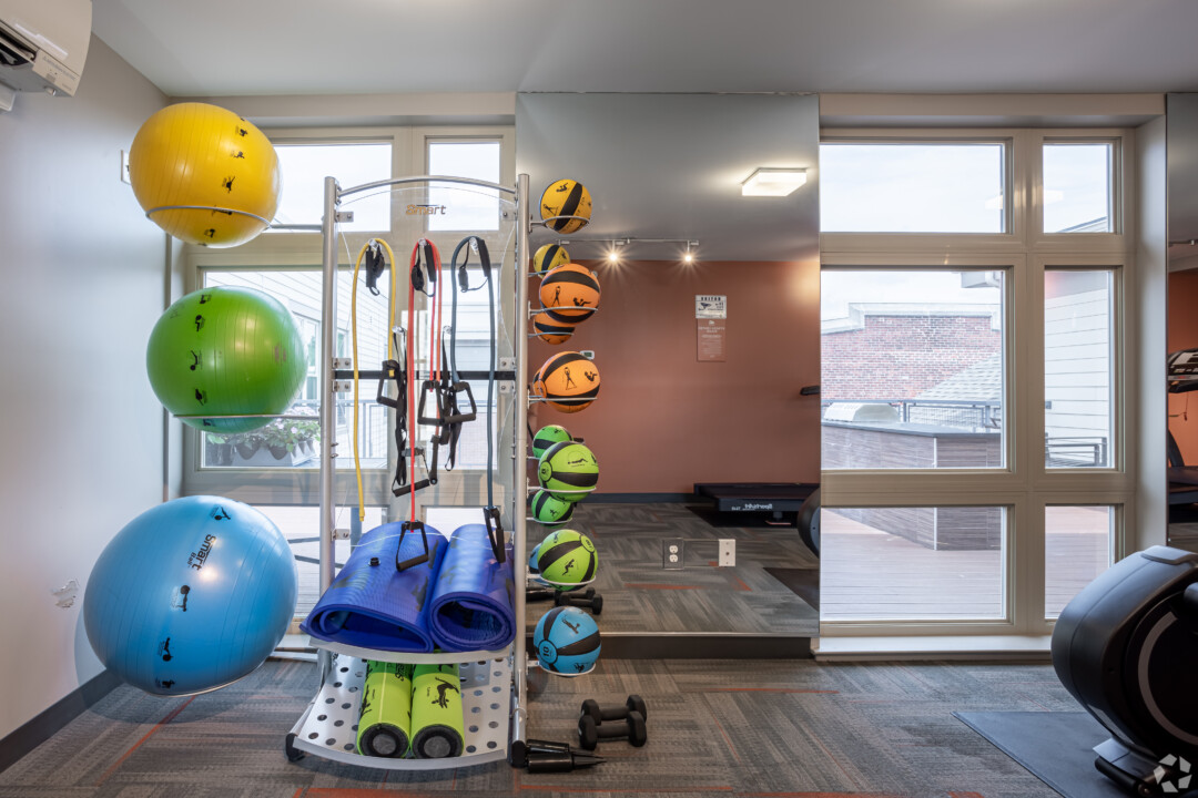 Fitness room with carpet flooring, painted walls, a finished ceiling, exercise balls, and workout equipment.