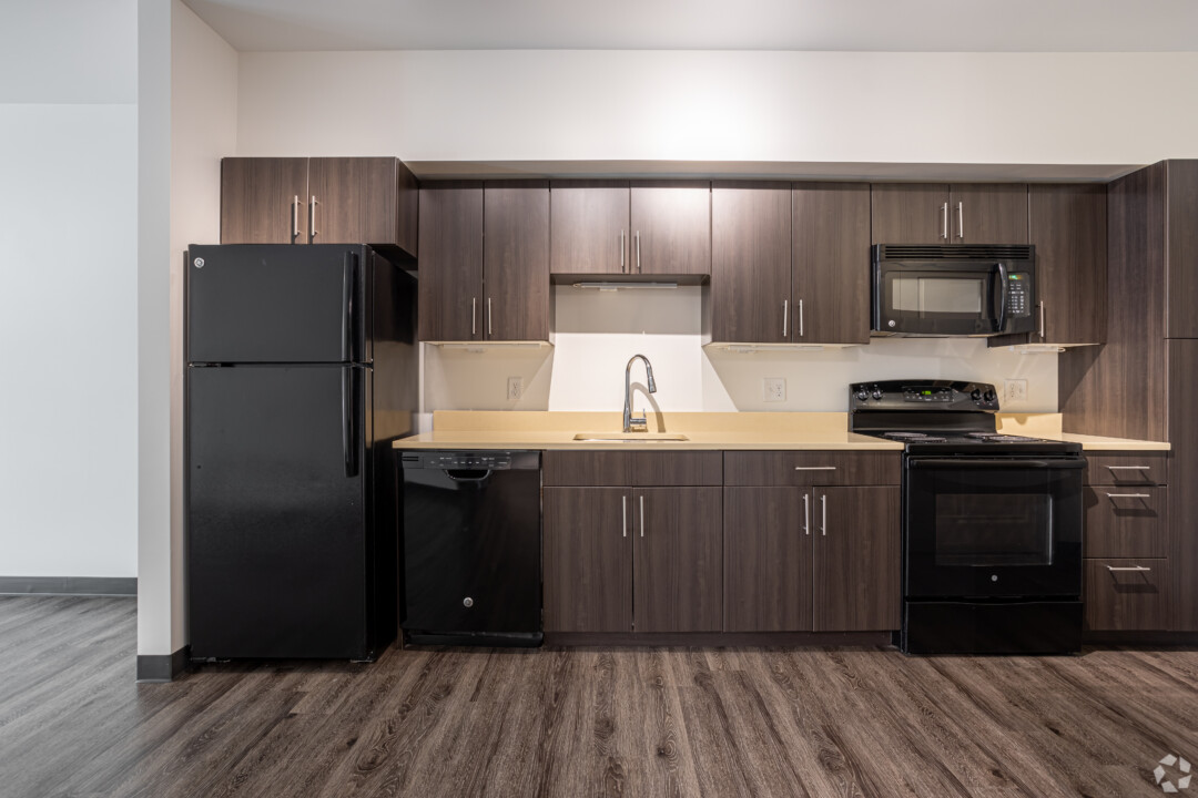 Modern kitchen with dark cabinets, black appliances, wood-style flooring, light-colored countertops, white walls, and a white ceiling.