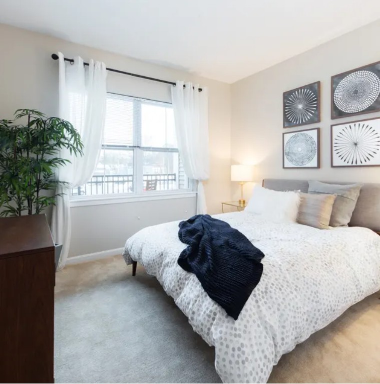Furnished bedroom with a bed, large window, bedside lamp, wall art, and neutral-colored walls.