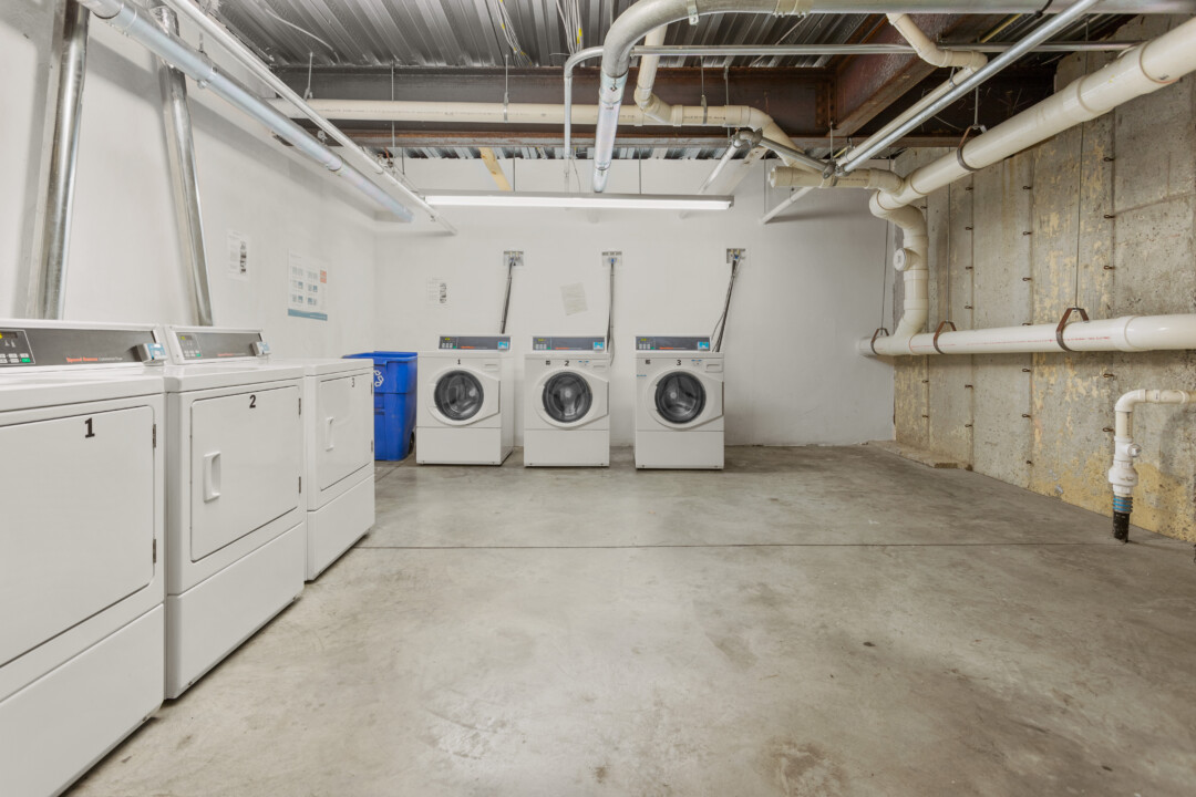 Laundry room with several washers and dryers, concrete flooring, and exposed ceiling pipes.