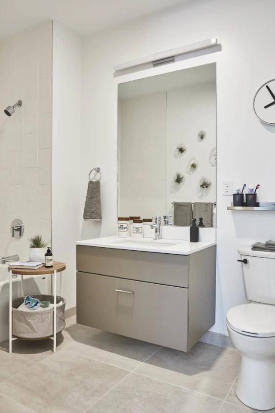 Bathroom with a gray vanity, large mirror, toilet, and bathtub with shower fixtures.